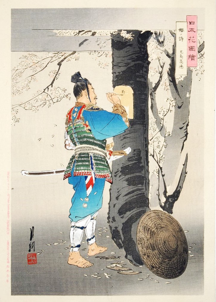 「日本花図絵　桜ノ詩　児島高徳」（尾形月耕、大英博物館）の画像。